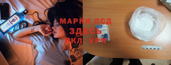 прущие грибы Магас