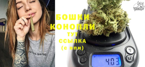 прущие грибы Магас