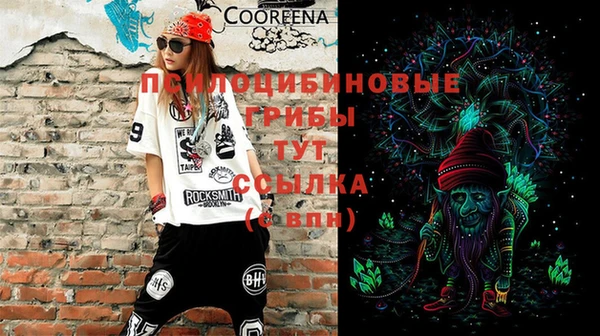 тгк Мегион