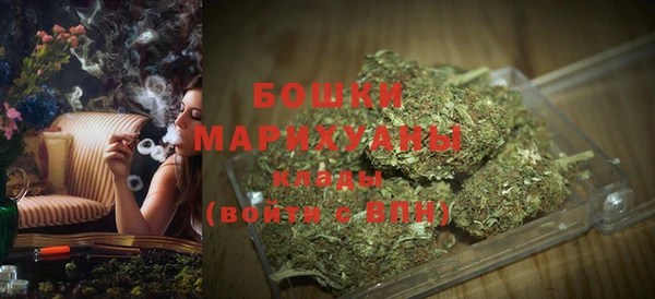 прущие грибы Магас