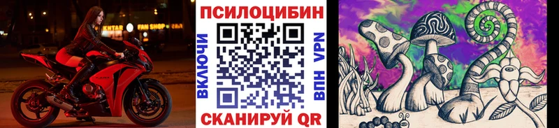 Галлюциногенные грибы Cubensis где найти Новомичуринск